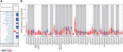 Pan-Cancer Analysis of the Mitophagy-Related Protein PINK1 as a Biomarker for the Immunological and Prognostic Role